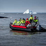 Whale Watching Greenland